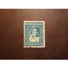 Британский Ньюфаундленд  1938 г.Принцесса Елизавета. /51а/