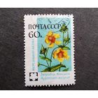 Марка СССР 1960 год Флора СССР