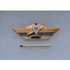 Классность "Мастер". Легкий. Заколка.