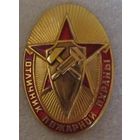 Отличник пожарной охраны, на винте с накладным щитом