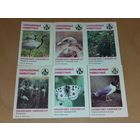 Календарики 1987 Фауна. Охраняемые животные. Красная Книга Узбекской ССР. 6 шт. одним лотом