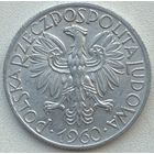 Польша 5 злотых 1960 г. Состояние!