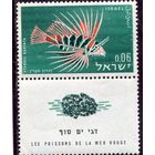 Израиль. Фауна. Рыбы Красного моря