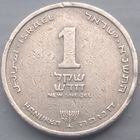 Израиль 1 новый шекель ханука 1991. Нечастая монета. Возможен обмен
