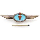 Национальная народная армия ГДР. Знак классификации военнослужащего парашютно-десантной службы. 3 класс
