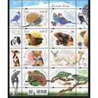 Польша 2025. Фауна. Домашние животные