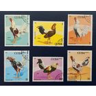 Куба.1981.Бойцовые петухи (полная серия 6 марок)