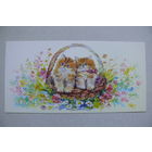 Дольская Т., Котята; 2016, чистая (РУП "Белпочта").