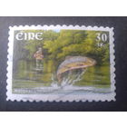 Ирландия 2001 Европа Вода