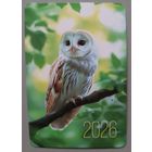 Сова. Календарик, 2026