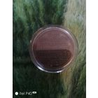 Монета рубль