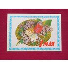 1 Мая! Дергилев 1977 г. Кр1.