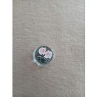 Гвоздика 10 рублей