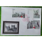 Беларусь 2009 КПД Коты.