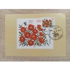 О-12. КАРТМАКСИМУМ. ГДР. ФЛОРА. 1982 ГОД.