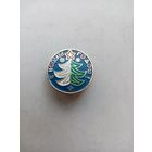 ЗНАЧОК С НОВЫМ ГОДОМ (2)