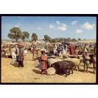 Афганистан Stockyard Kabul