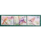 2017 Уязвимые птицы Индия