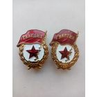 ГВАРДИИ СССР (ДВЕ-РАЗНОВИДНАСТИ)