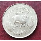 Судан 10 киршей, 1981 ФАО - Международный день еды
