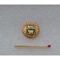 Бугуруслан.