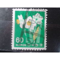 Япония, 1976. Нарциссы