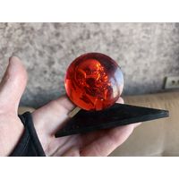 Ленин. С 1 рубля!