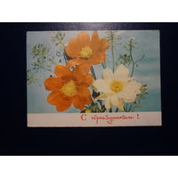 С праздником!  цветы.  1969 г.  подписанная.
