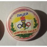 Знак, МЧС, пожарный, лицей