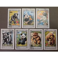 Марки. Монголия. 1974 год. Медведи. Фауна (7 марок)