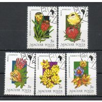 Цветы Венгрия 1990 год 5 марок