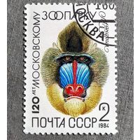 Марка СССР 1984 гол 120 лет Московскому зоопарку