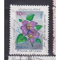 Иранский Новый год - Цветы Флора  Иран 1988 год лот 14