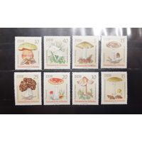 Германия. 1974 год. Флора. Грибы (969)