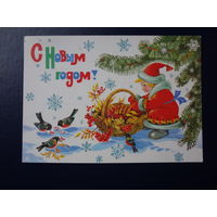 С Новым годом!  1987 г.  Мальчик Новый год, корзина, рябина, снегири.  подписанная.
