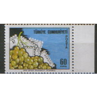 Марка из серии 1967г. Турция "2-ая Национальная выставка марок в Измире" MNH