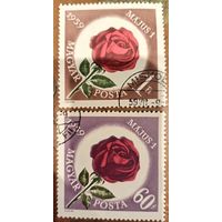 Венгрия 1959. Флора. Розы