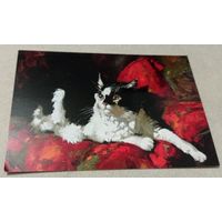 Посткроссинг. Открытка: кот и подушка, худ.М.Павлова (11,5х16,5), издательство "Речь". Прошла почту. Художественная марка. штемпель.