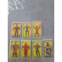 Наклейки bodyguard