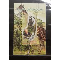 Марка (блок) ФАУНА АФРИКИ. 2009 год. Республика Конго. Новая