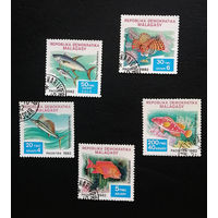 Мадагаскар 1982 г. Рыбы. Морская фауна, полная серия из 5 марок #0199-Ф1P39