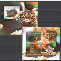 Мальдивы 2014** Фауна Домашние Животные Кошки