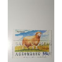 Австралия год 1989.  посвященная породе овец Полл Дорсет.