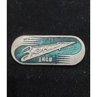 ДЮСШ Зенит т.м