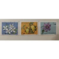 РАСПРОДАЖА КОЛЛЕКЦИИ. Польша, марки "цветы"