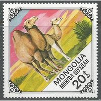 Монголия. Верблюды. 1978г. Mi#1185..