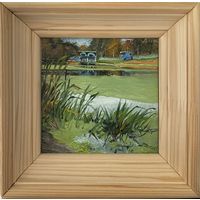 Ряска малахита