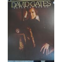 DAVID GATES (BREAD)  " NEVER LET HER GO" 1975 LP USA ELEKTRA 7E 1028 - - ORIG - NM/NM