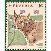 Швейцария 1992. Скотный двор. Корова