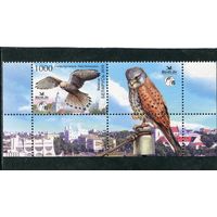 Беларусь 2010. Птица года. Сокол-пустальга. Марка с купоном